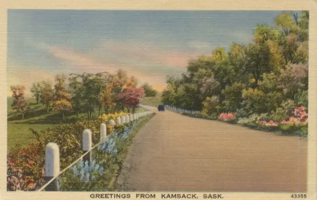 Greetings from Kamsack postcard: tree-lined road